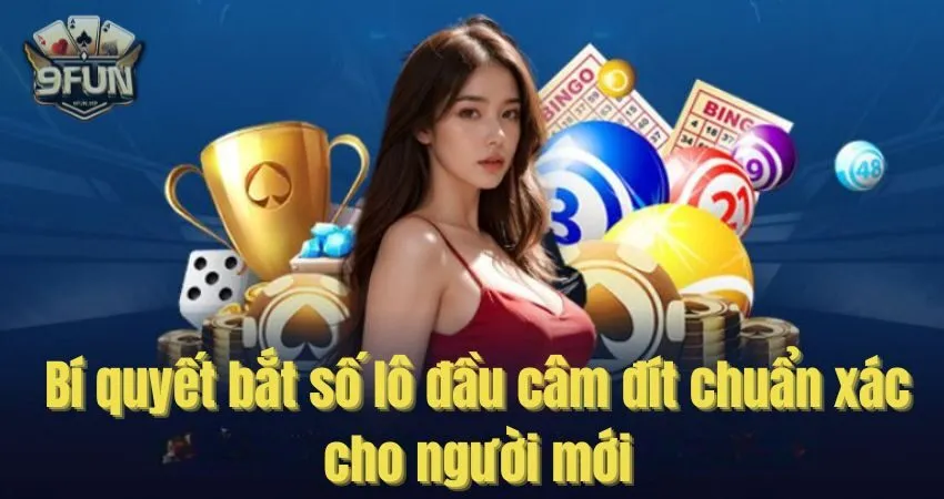 Bí quyết bắt số lô đầu câm đít chuẩn xác cho người mới cam dit
